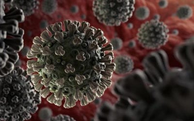 Nature of the Coronavirus Pandemic