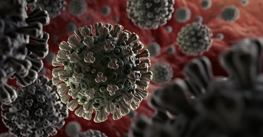 Nature of the Coronavirus Pandemic