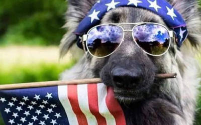 National Service Dog Month