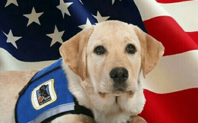 National K-9 Veterans Day