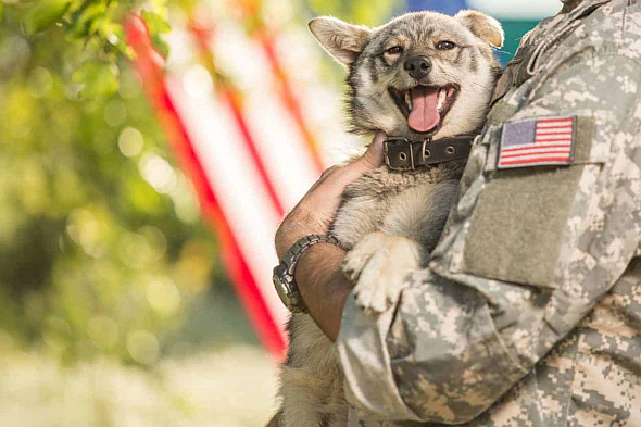 K9 Veterans Day honors our four-legged heroes